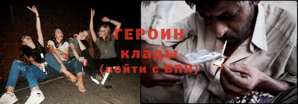 гашик Алексин