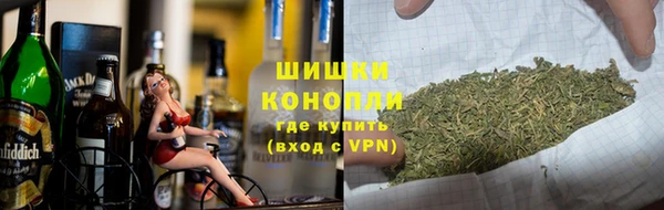 гашик Алексин