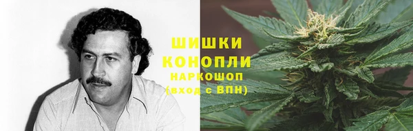 гашик Алексин