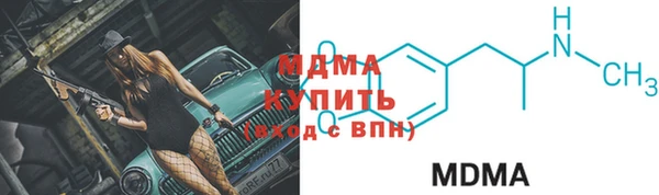 гашик Алексин