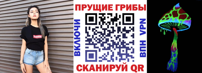 Галлюциногенные грибы GOLDEN TEACHER  где можно купить   Нурлат 